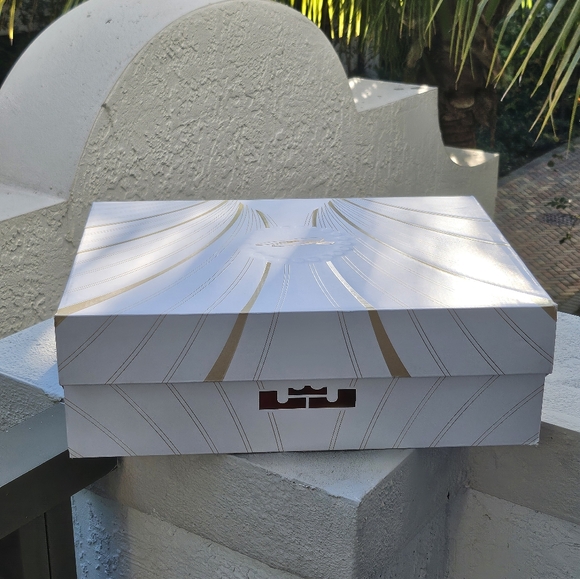 Size 12 - Lebron 21 XXI 'James Gang' - Picture 7 of 8